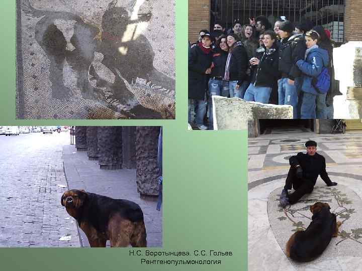 Н. С. Воротынцева. С. С. Гольев Рентгенопульмонология 