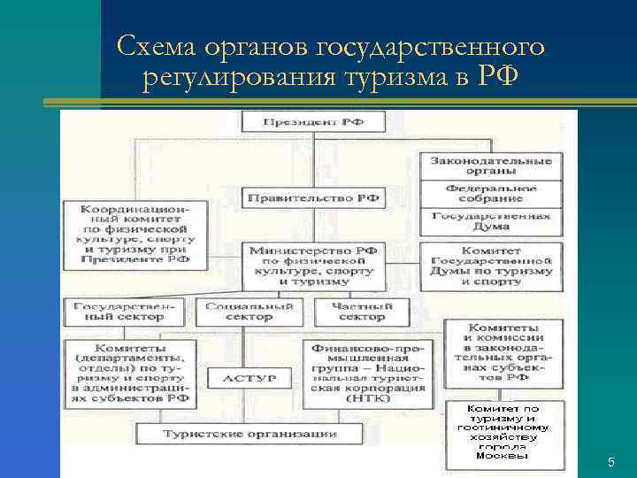 Организация управления туризмом