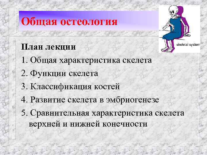 Общая остеология План лекции 1. Общая характеристика скелета 2. Функции скелета 3. Классификация костей