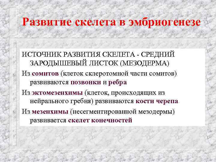 Развитие скелета в эмбриогенезе ИСТОЧНИК РАЗВИТИЯ СКЕЛЕТА - СРЕДНИЙ ЗАРОДЫШЕВЫЙ ЛИСТОК (МЕЗОДЕРМА) Из сомитов