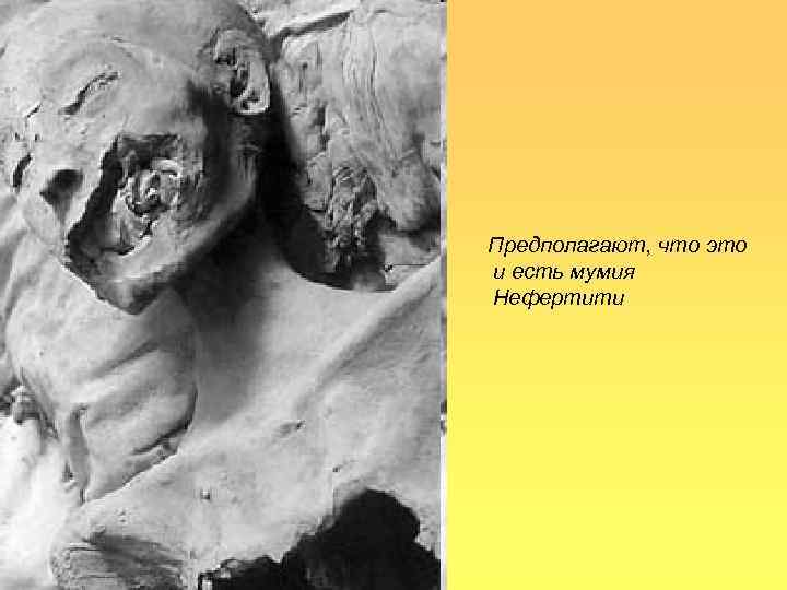 Предполагают, что это и есть мумия Нефертити 