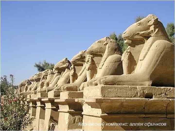 Карнакский комплекс: аллея сфинксов 