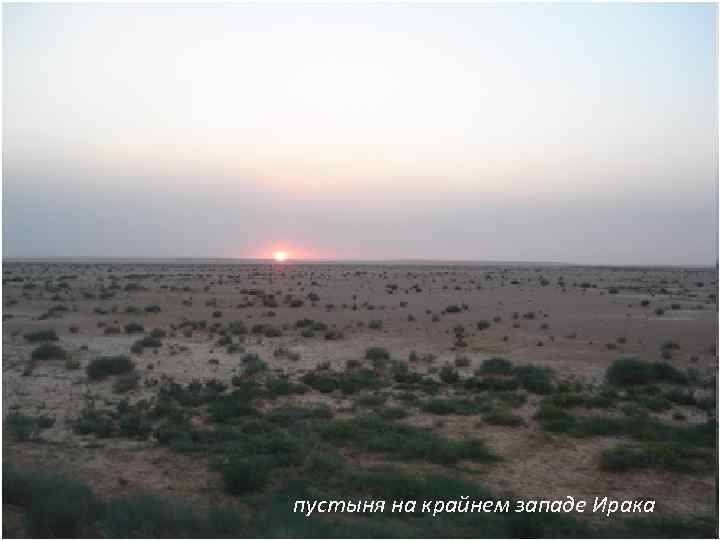 пустыня на крайнем западе Ирака 