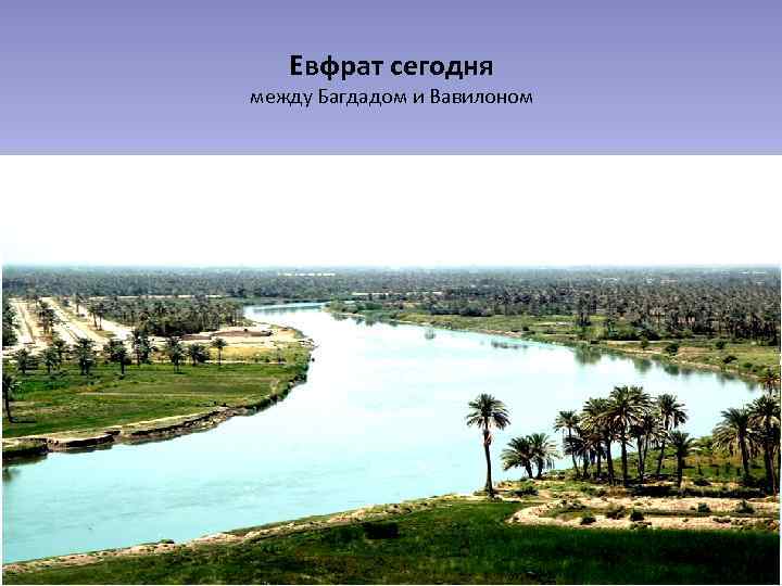 Евфрат сегодня между Багдадом и Вавилоном 