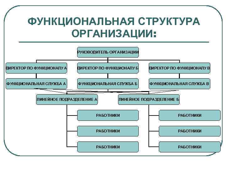 ФУНКЦИОНАЛЬНАЯ СТРУКТУРА ОРГАНИЗАЦИИ: РУКОВОДИТЕЛЬ ОРГАНИЗАЦИИ ДИРЕКТОР ПО ФУНКЦИОНАЛУ А ДИРЕКТОР ПО ФУНКЦИОНАЛУ Б ДИРЕКТОР