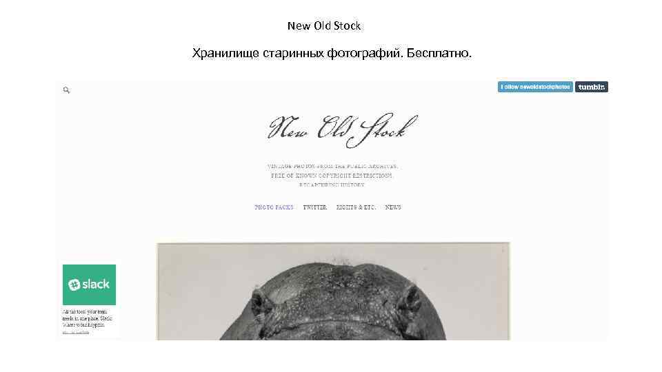 New Old Stock Хранилище старинных фотографий. Бесплатно. 
