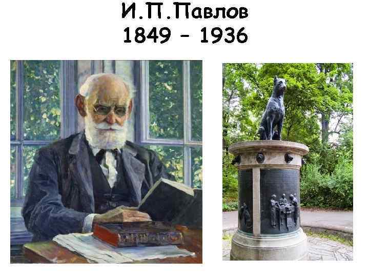 И. П. Павлов 1849 – 1936 
