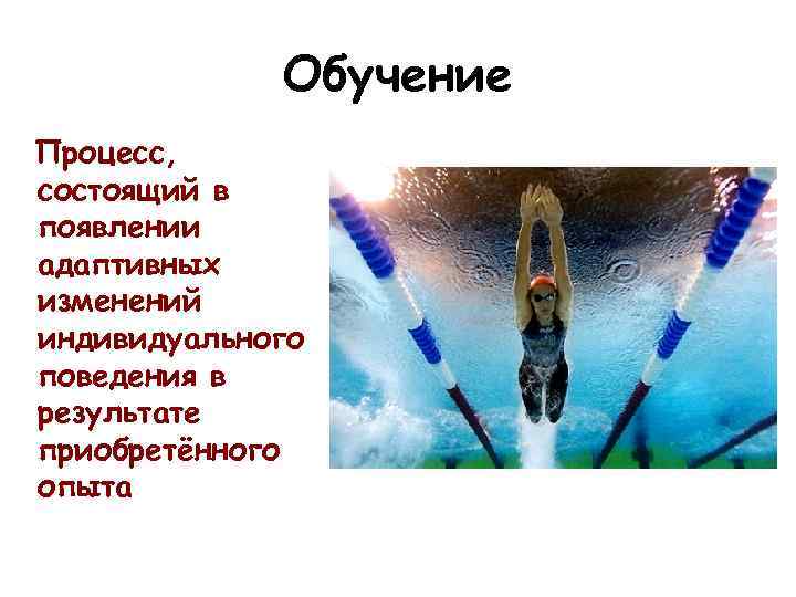 Обучение Процесс, состоящий в появлении адаптивных изменений индивидуального поведения в результате приобретённого опыта 