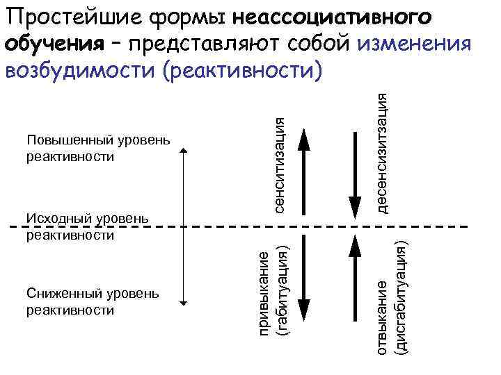 Сниженный уровень реактивности десенсизитзация отвыкание (дисгабитуация) Исходный уровень реактивности привыкание (габитуация) Повышенный уровень реактивности