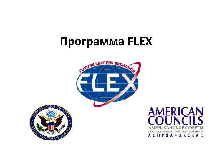 Программа FLEX 
