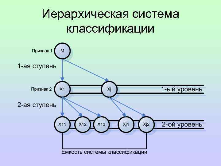 Иерархическая система классификации 