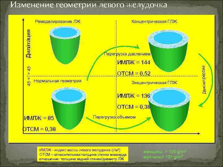 Изменение геометрии левого желудочка Дилатация Ремоделирование ЛЖ Концентрическая ГЛЖ 45 < > 45 ИМЛЖ