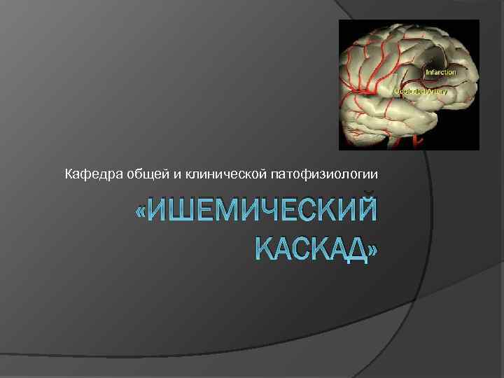 Кафедра общей и клинической патофизиологии «ИШЕМИЧЕСКИЙ КАСКАД» 