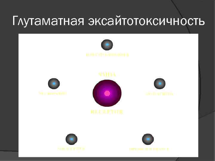 Глутаматная эксайтотоксичность 