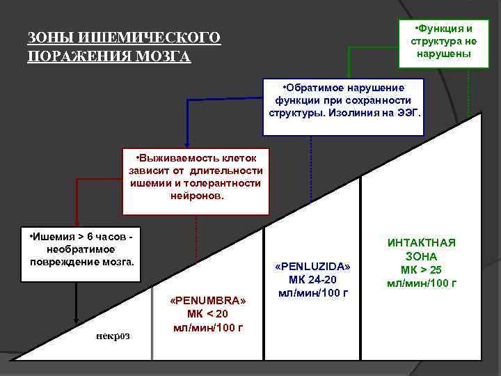  • Функция и структура не нарушены ЗОНЫ ИШЕМИЧЕСКОГО ПОРАЖЕНИЯ МОЗГА • Обратимое нарушение