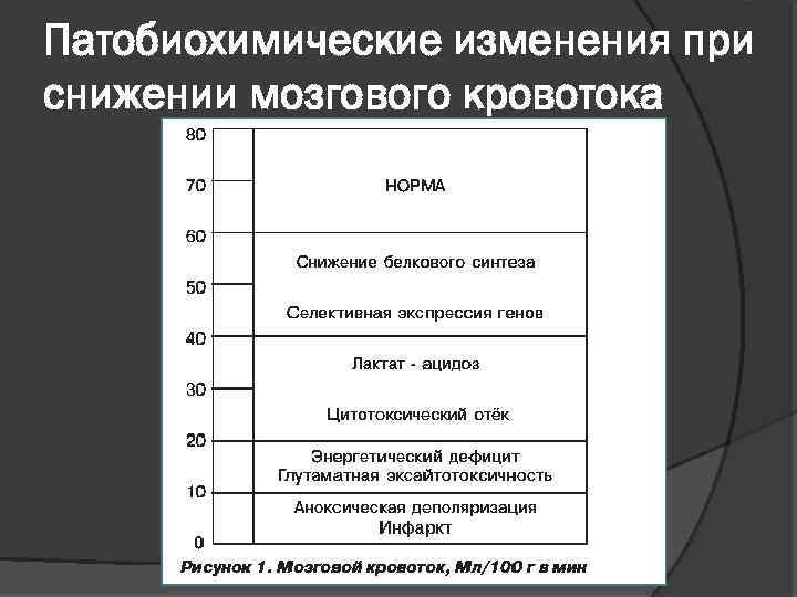 Патобиохимические изменения при снижении мозгового кровотока 