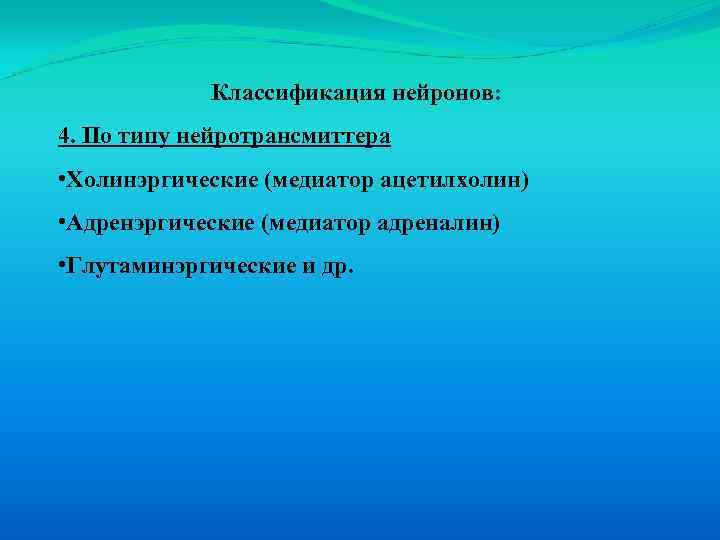 Классификация нейронов: 4. По типу нейротрансмиттера • Холинэргические (медиатор ацетилхолин) • Адренэргические (медиатор адреналин)