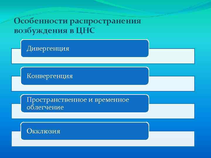 Особенности распространения возбуждения в ЦНС Дивергенция Конвергенция Пространственное и временное облегчение Окклюзия 
