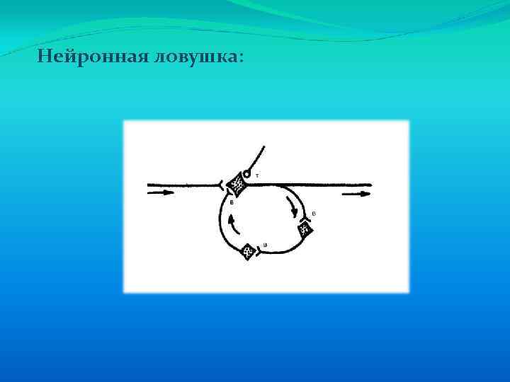 Нейронная ловушка: 