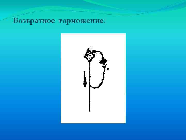 Возвратное торможение: 