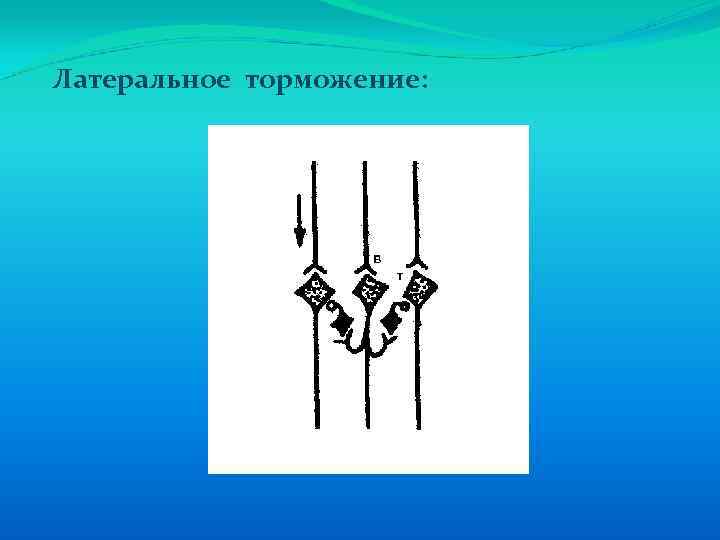 Латеральное торможение: 