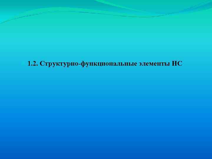  1. 2. Структурно-функциональные элементы НС 