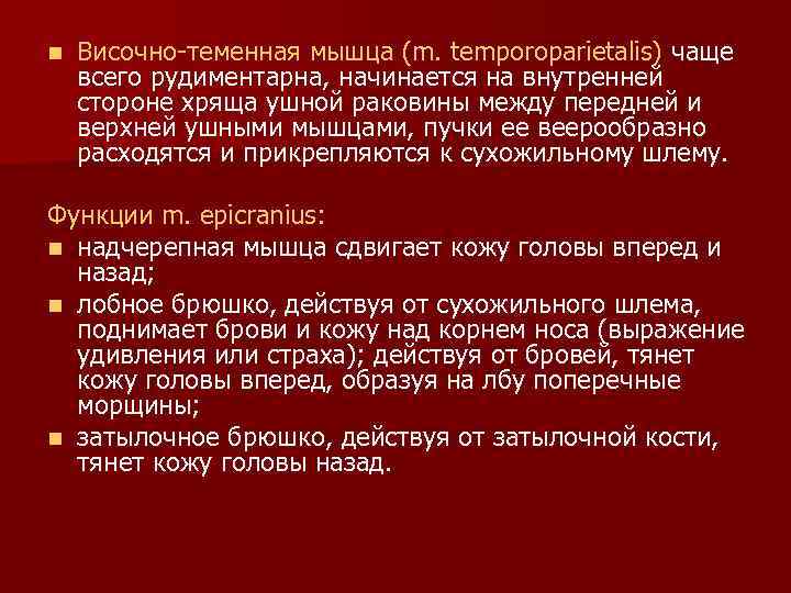 n Височно-теменная мышца (m. temporoparietalis) чаще всего рудиментарна, начинается на внутренней стороне хряща ушной