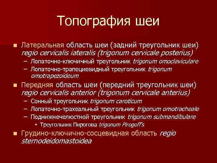 Топография шеи n Латеральная область шеи (задний треугольник шеи) regio cervicalis iateralis (trigonum cervicale