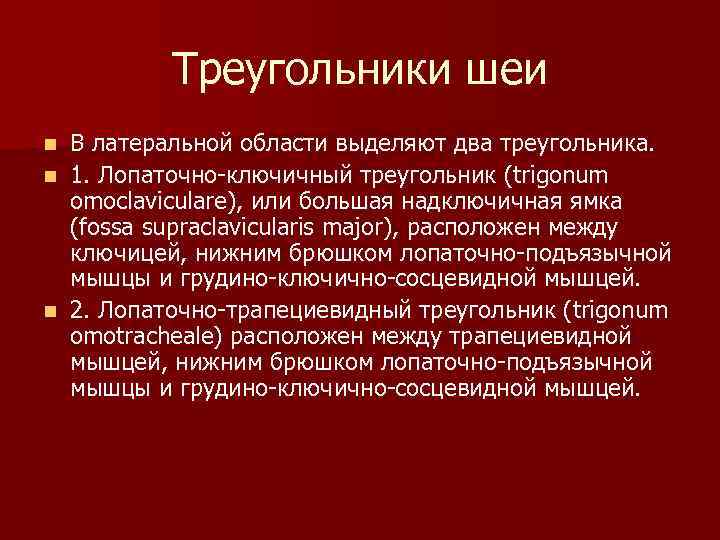 Треугольники шеи В латеральной области выделяют два треугольника. n 1. Лопаточно-ключичный треугольник (trigonum omoclaviculare),