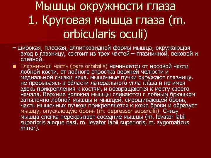 Мышцы окружности глаза 1. Круговая мышца глаза (m. orbicularis oculi) – широкая, плоская, эллипсовидной