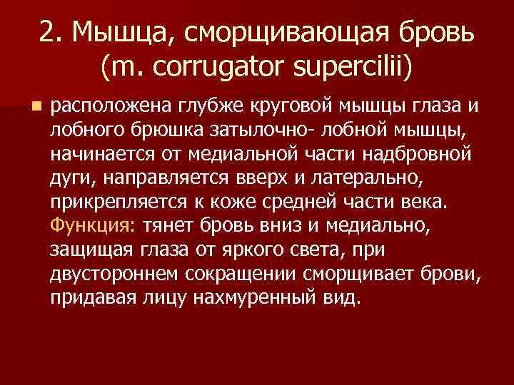 2. Мышца, сморщивающая бровь (m. corrugator supercilii) n расположена глубже круговой мышцы глаза и