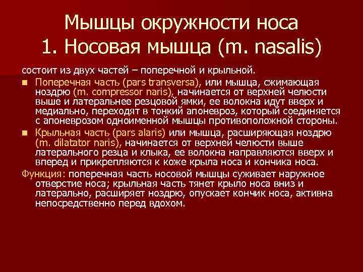 Мышцы окружности носа 1. Носовая мышца (m. nasalis) состоит из двух частей – поперечной