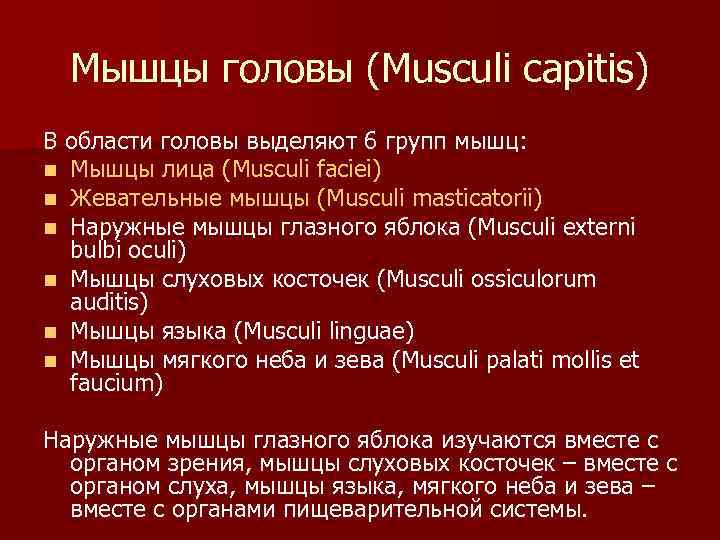 Мышцы головы (Musculi capitis) В области головы выделяют 6 групп мышц: n Мышцы лица