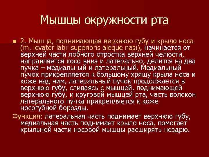 Мышцы окружности рта 2. Мышца, поднимающая верхнюю губу и крыло носа (m. levator labii