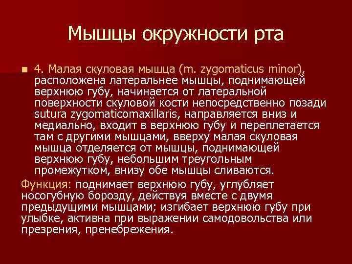 Мышцы окружности рта 4. Малая скуловая мышца (m. zygomaticus minor), расположена латеральнее мышцы, поднимающей