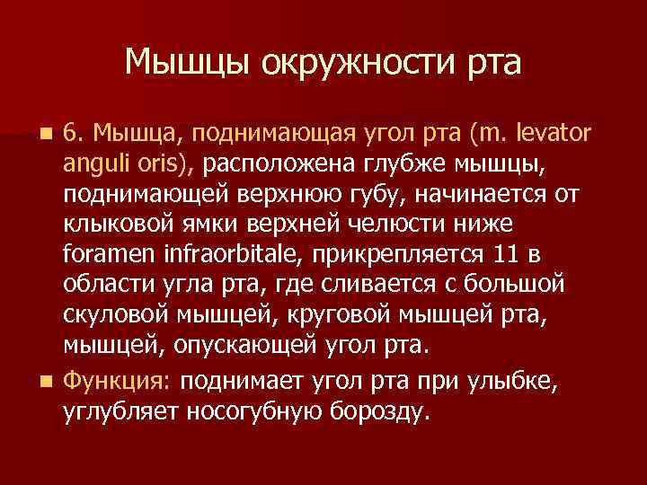 Мышцы окружности рта 6. Мышца, поднимающая угол рта (m. levator anguli oris), расположена глубже