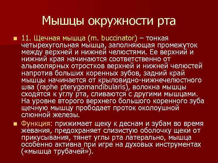 Мышцы окружности рта 11. Щечная мышца (m. buccinator) – тонкая четырехугольная мышца, заполняющая промежуток