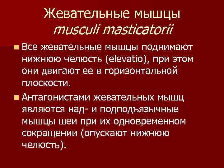 Жевательные мышцы musculi masticatorii n Все жевательные мышцы поднимают нижнюю челюсть (elevatio), при этом