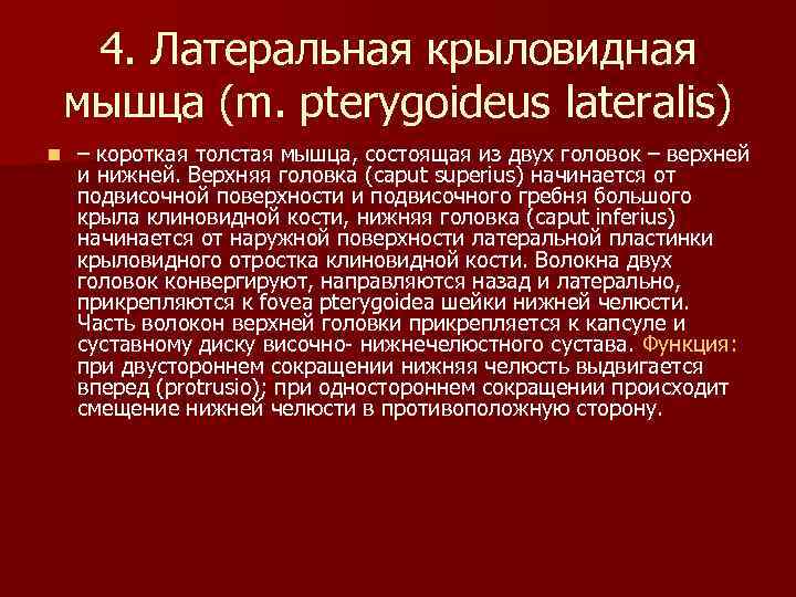 4. Латеральная крыловидная мышца (m. pterygoideus lateralis) n – короткая толстая мышца, состоящая из