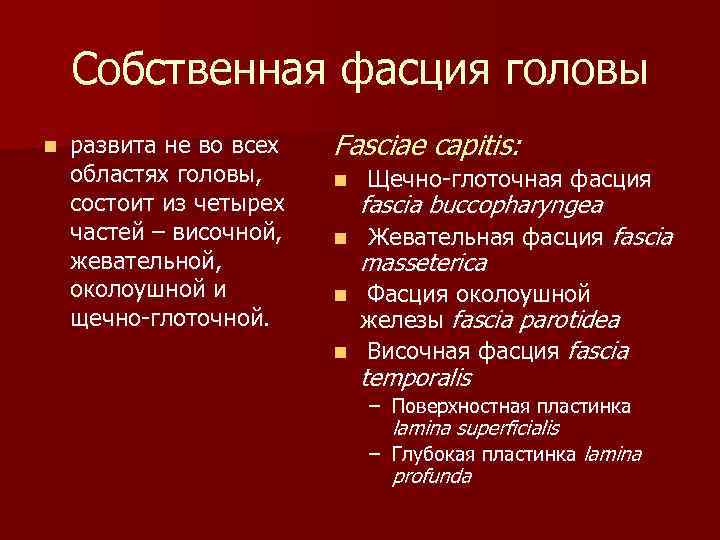 Собственная фасция головы n развита не во всех областях головы, состоит из четырех частей