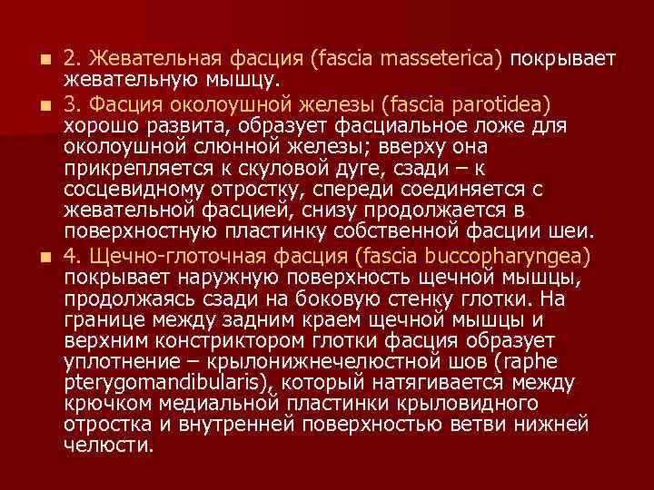 2. Жевательная фасция (fascia masseterica) покрывает жевательную мышцу. n 3. Фасция околоушной железы (fascia