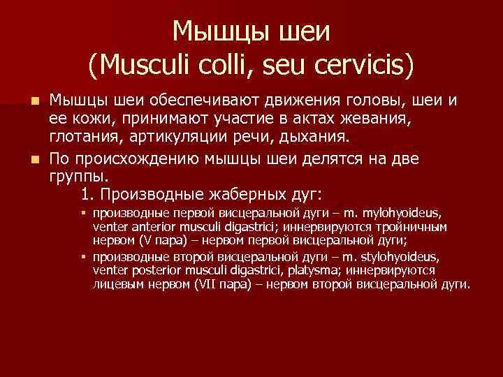 Мышцы шеи (Musculi colli, seu cervicis) Мышцы шеи обеспечивают движения головы, шеи и ее