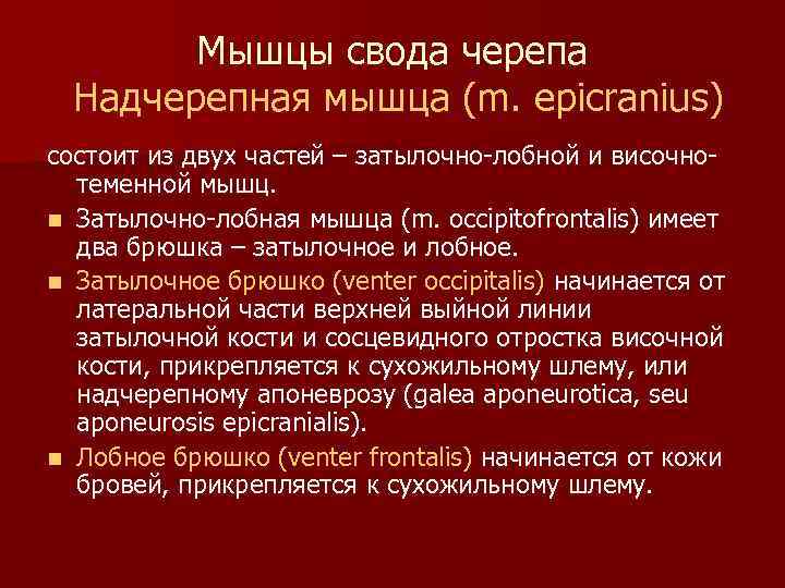 Мышцы свода черепа Надчерепная мышца (m. epicranius) состоит из двух частей – затылочно-лобной и