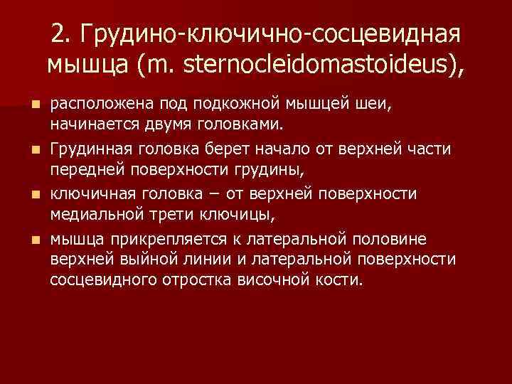 2. Грудино-ключично-сосцевидная мышца (m. sternocleidomastoideus), n n расположена подкожной мышцей шеи, начинается двумя головками.