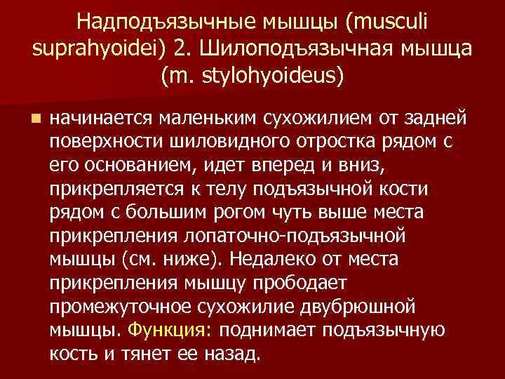 Надподъязычные мышцы (musculi suprahyoidei) 2. Шилоподъязычная мышца (m. stylohyoideus) n начинается маленьким сухожилием от