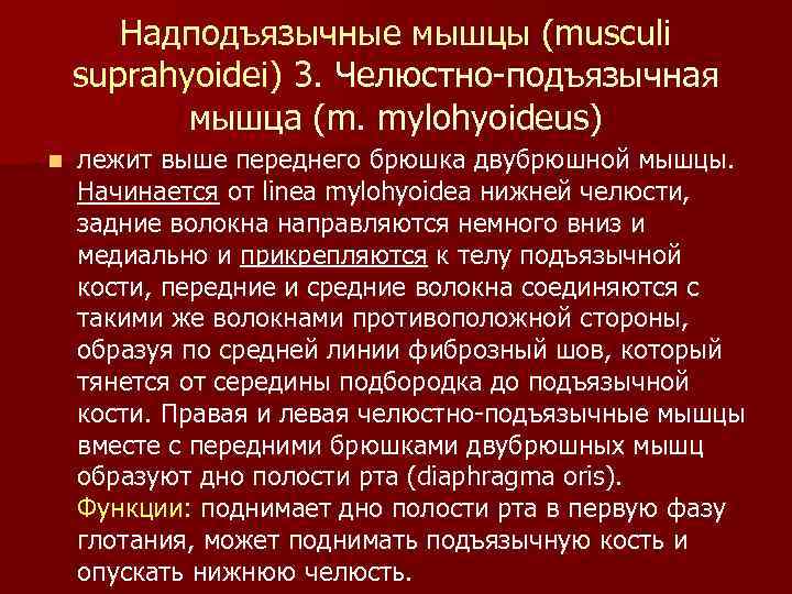 Надподъязычные мышцы (musculi suprahyoidei) 3. Челюстно-подъязычная мышца (m. mylohyoideus) n лежит выше переднего брюшка