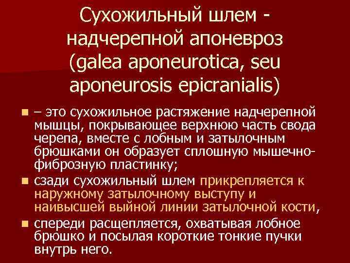 Сухожильный шлем надчерепной апоневроз (galea aponeurotica, seu aponeurosis epicranialis) – это сухожильное растяжение надчерепной