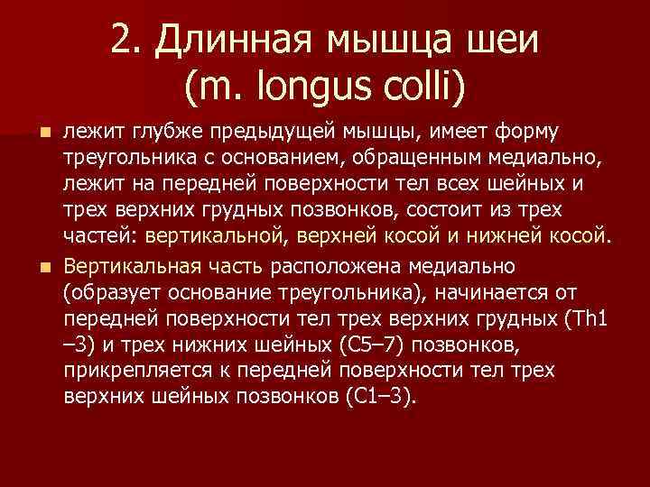 2. Длинная мышца шеи (m. longus colli) лежит глубже предыдущей мышцы, имеет форму треугольника