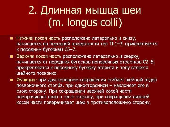 2. Длинная мышца шеи (m. longus colli) Нижняя косая часть расположена латерально и снизу,