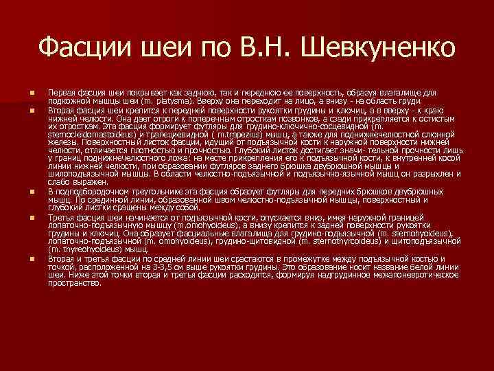 Фасции шеи по В. Н. Шевкуненко n n n Первая фасция шеи покрывает как